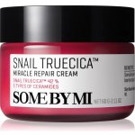 Some By Mi Snail Truecica Miracle Repair Cream 60 ml – Zboží Mobilmania