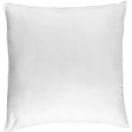 Chanar Výplň do polštáře 40x40 – Zboží Mobilmania