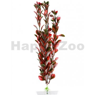 JK Animals Red Ludwigia 25-28 cm