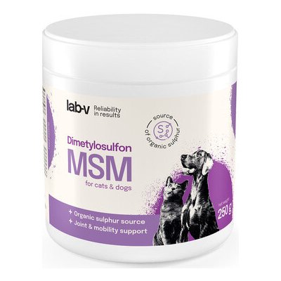 LAB-V MSM pro psy a kočky 250 g – Hledejceny.cz