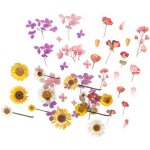 DP Craft Průhledné samolepky květiny pvc 49 ks – Hledejceny.cz