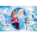 Clementoni 27127 II Frozen 2 Ledové království 104 dílků – Hledejceny.cz