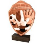 Poháry Bauer Dřevěná plaketa TFRW319 Fotbal – Sleviste.cz