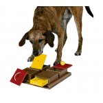 Trixie Dog Activity Poker Box 31 x 10 x 31 cm – Zbozi.Blesk.cz