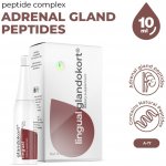 Garmonia Glandokort lingual 10 ml peptidový komplex – Hledejceny.cz