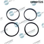 Sada těsnění, koleno sacího potrubí Dr.Motor Automotive DRM0132S – Hledejceny.cz