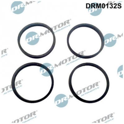 Sada těsnění, koleno sacího potrubí Dr.Motor Automotive DRM0132S – Hledejceny.cz