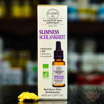 Elixirs & Co Bachova kombinovaná esence Štíhlá linie 20 ml – Hledejceny.cz