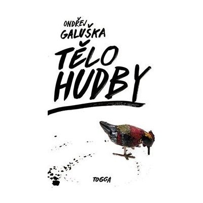 Tělo hudby - Ondřej Galuška