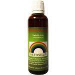 Duhové elixíry Detoxilen 50 ml – Hledejceny.cz