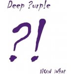 Deep Purple - Now What?! LP – Hledejceny.cz
