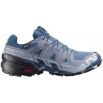 Salomon Speedcross 6 GTX M L47985300 spellbound/black tradewinds – Zbozi.Blesk.cz