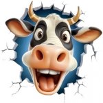 Vinylová samolepka - kráva KUK (14,0 x 13,0 cm) – Zboží Živě