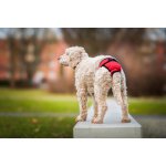 Vsepropejska Fixed červené Hárací kalhotky pro psa slabin 46 58 cm – Hledejceny.cz