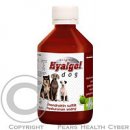 Vitamíny pro psa Hyalgel Dog Original jablko 500 ml