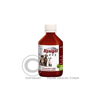 Hyalgel Dog Original jablko 500 ml