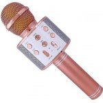 Alum Bezdrátový karaoke WS 858 Rose Gold – Hledejceny.cz