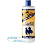 MANE 'N TAIL Shampoo 473 ml – Zboží Mobilmania