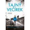 Elektronická kniha Tajný večírek - Patricia Gibneyová