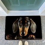 Zolux Podložka pro psy pod misku pejsci L – Zboží Mobilmania