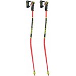 Leki WCR Lite GS 3D 2025/26 – Zboží Mobilmania