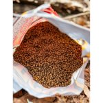 Bait-Tech Pelety Carp & Coarse 700 g 8 mm – Hledejceny.cz