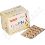 FytoFEM Iconti Forte 90 tablet – Hledejceny.cz