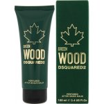 Dsquared2 Green Wood ASB 100 ml – Hledejceny.cz