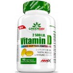 Amix Vitamin D 2500 I.U. 90 kapslí – Hledejceny.cz