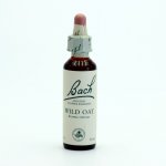 Bachovy květové esence Sveřep větevnatý Wild Oat 20 ml – Hledejceny.cz