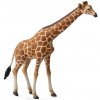 Figurka Collecta Žirafa