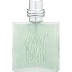 Nino Cerruti 1881 Fraicheur d´Eau toaletní voda pánská 100 ml – Zbozi.Blesk.cz