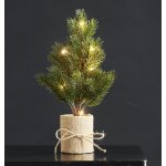 STAR TRADING Dekorativní svítící stromeček Tree 35cm zelená barva plast – Hledejceny.cz