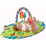 Playgro Hrací podložka Dinosaurus – Zboží Dáma