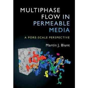 Multiphase Flow in Permeable Media