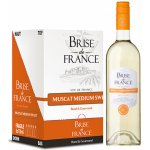 Brise de France Muscat bílé víno, polosladké, Francie, sklo 0,75l sada 6ks – Sleviste.cz