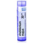 CHELIDONIUM MAJUS POR 30CH GRA 1X4G – Hledejceny.cz