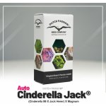 Dutch Passion AUTO Cinderella Jack semena neobsahují THC 7 ks – Zboží Mobilmania