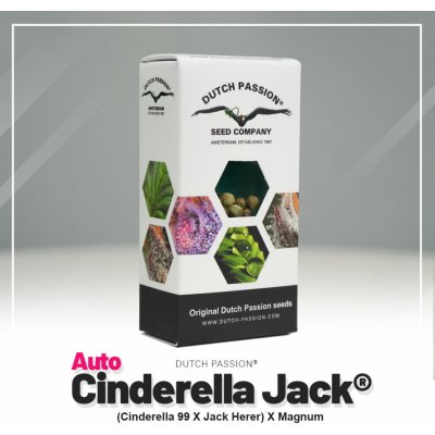 Dutch Passion AUTO Cinderella Jack semena neobsahují THC 7 ks – Zboží Mobilmania