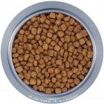 Royal Canin Persian Kitten 2 x 10 kg – Hledejceny.cz