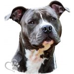 Avisa Samolepka psa na auto - Americký stafordšírský teriér - – Hledejceny.cz