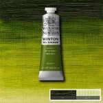 Olejová barva Winsor & Newton Winton 200 ml Sap Green – Hledejceny.cz