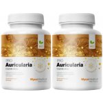 MycoMedica Auricularia polytricha Bylinné kapsle 2 x 90 kapslí – Hledejceny.cz