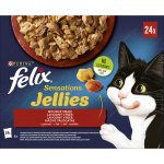 Felix Fantastic Lahodný výběr v želé 24 x 85 g – Hledejceny.cz