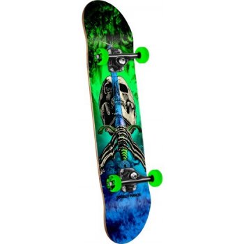 Powell Peralta Skull and Sword Storm