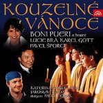 Různí - Kouzelné Vánoce CD – Hledejceny.cz