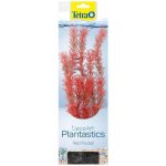 Tetra Myriophyllum heterophyllum - Red Foxtail 30 cm – Hledejceny.cz