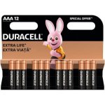 Duracell Basic 12ks AAA 42325 – Sleviste.cz