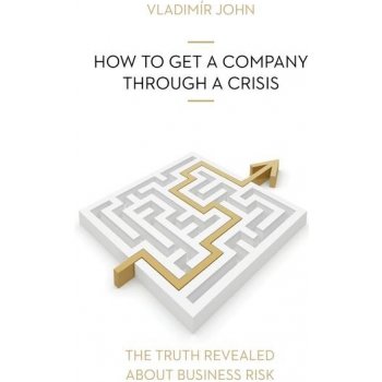 HOW TO GET A COMPANY THROUGH A CRISIS - John Vladimir