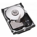 Seagate Cheetah 15K.5 300GB, 3,5", 15000rpm, SCSI, ST3300655LC